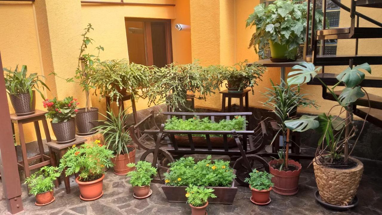 Shelby Accommodation -Adult Only- سِنايا المظهر الخارجي الصورة