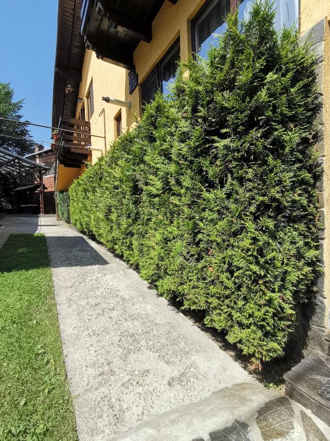 Shelby Accommodation -Adult Only- سِنايا المظهر الخارجي الصورة