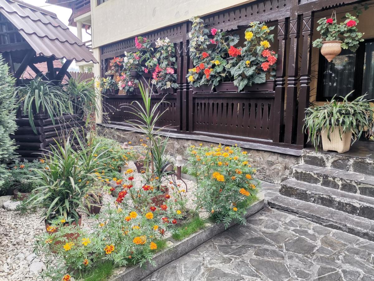 Shelby Accommodation -Adult Only- سِنايا المظهر الخارجي الصورة