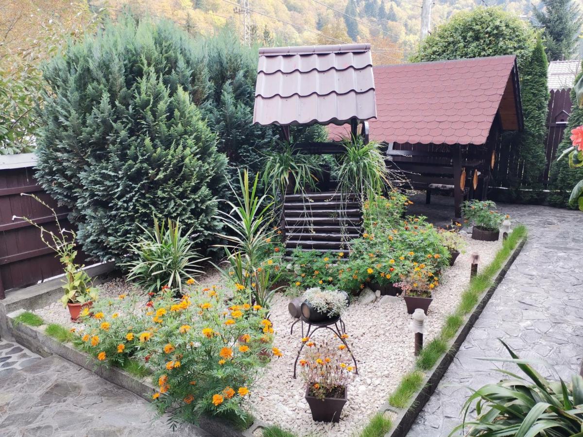 Shelby Accommodation -Adult Only- سِنايا المظهر الخارجي الصورة