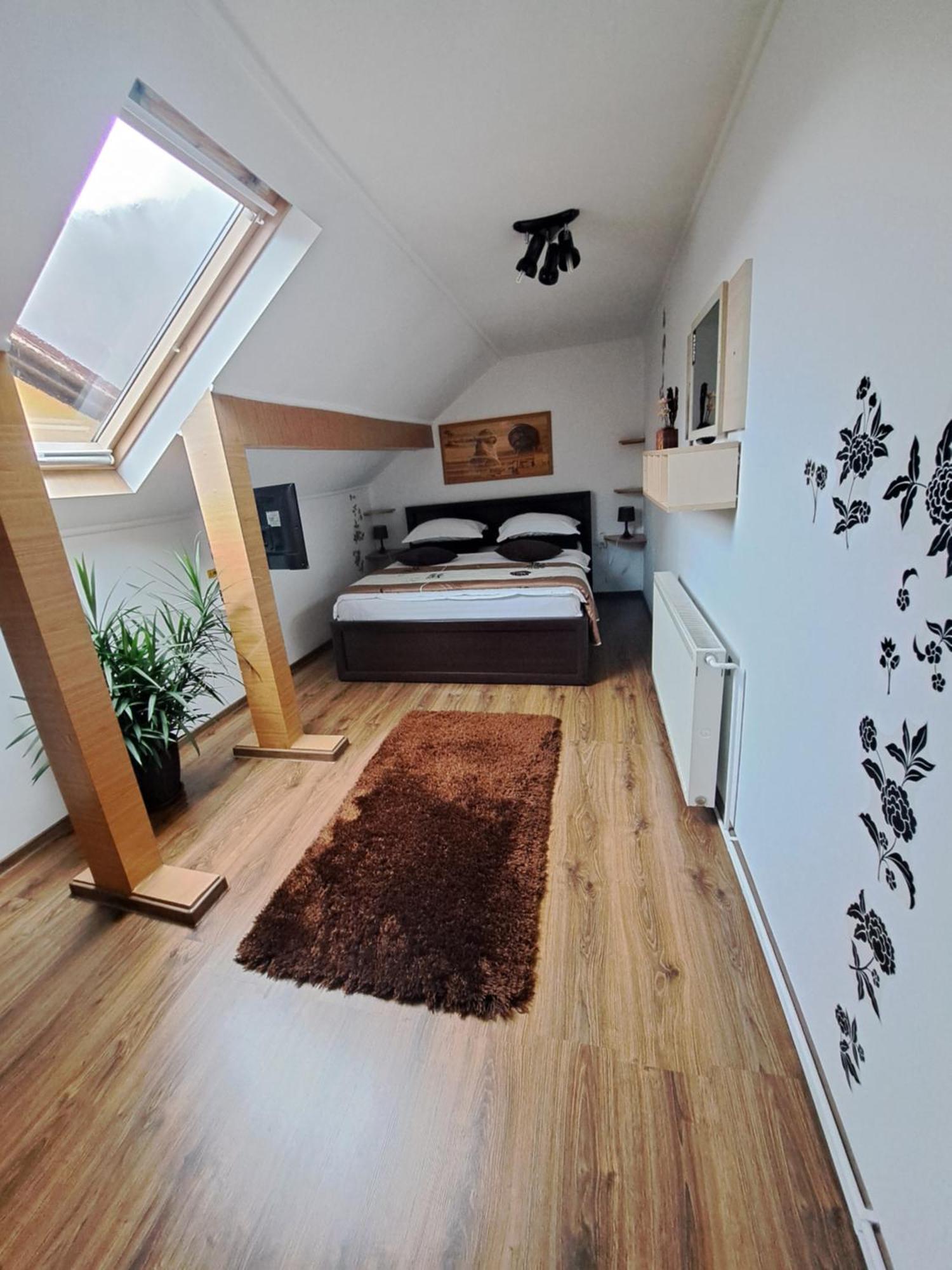 Shelby Accommodation -Adult Only- سِنايا المظهر الخارجي الصورة